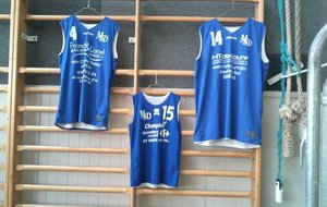 Couleur du club de basket